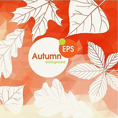 EPS 해외이미지 식물 백그라운드 단풍 잎 일러스트 자연 수채화 사람없음 빨간색 가을 밤 해외202004 해외일러스트 계절 컬러 견과류 생태계 파일형식 벡터