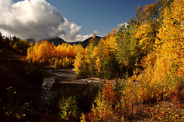 포토 JPG 해외이미지 나무 구름 여행 잎 캐나다 하늘 그림자 풍경 사람없음 가로 물 컬러풀 디지털 흐름 가을 소나무 언덕 장면 해외202004 해외포토 자연요소 식물 계절 컬러 컨셉 북아메리카 파일형식