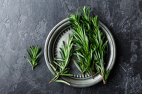 포토 JPG 해외이미지 식물 음식 백그라운드 잎 재료 자연 건강 사람없음 초록색 약 금속 나뭇가지 신선 다발 허브 향신료 싱글 유기농 날것 향기 아로마 향 로즈메리 내추럴 카피스페이스 해외202004 해외포토 나무 웰빙 컬러 의학 재질 공백 생태계 냄새 향미료 파일형식