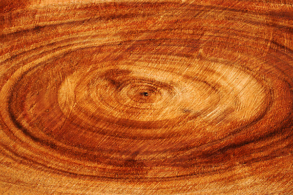 포토 JPG 해외이미지 식물 디자인 벽 가구 백그라운드 패턴 자연 벽지 표면 날씨 바닥 주택 외벽 사람없음 건물 목재 세로 울타리 갈색 줄무늬 골동품 소나무 판넬 거친 널 낟알 천 목수 질감 목공예 잡동사니 내추럴 그런지 사생활 수목 옛날 줄서기 해외202004 해외포토 나무 직업 건축물 컬러 생활용품 무늬 재료 모션 담장 직물 공예 생태계 파일형식