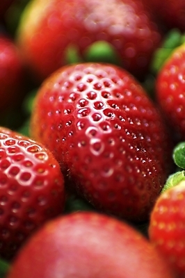 포토 JPG 해외이미지 음식 과일 자연 딸기 사람없음 빨간색 세로 정원 사막 신선 시장 닫기 달콤 유기농 원예 내추럴 해외202004 해외포토 웰빙 컬러 모션 취미 맛 생태계 파일형식