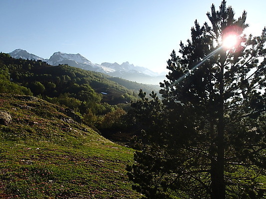 포토 JPG 해외이미지 나무 구름 공원 유럽 여행 백그라운드 자연 하늘 휴가 산 파노라마 풍경 사람없음 야외 초록색 여름 파란색 컬러풀 환경 계곡 트래킹 하이킹 프랑스 바위 스페인 숲 언덕 장면 내추럴 프랑스어 산악지대 절정 피레네산맥 해외202004 해외포토 자연요소 식물 문자 계절 공공시설 나라 컬러 레저 촬영기법 돌_바위 생태계 파일형식 산맥