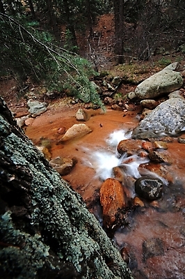 포토 JPG 해외이미지 나무 공원 자연 사람없음 물 강 미국 개울 숲 암초 내추럴 콜로라도 해외202004 해외포토 자연요소 식물 공공시설 북아메리카 생태계 파일형식