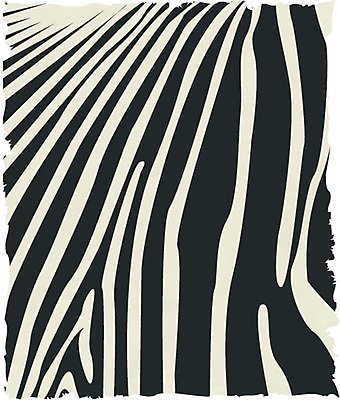 EPS 해외이미지 모양 동물 디자인 실루엣 선 백그라운드 패턴 일러스트 아프리카 털 그래픽 검은색 줄무늬 사파리 피부 윤곽 얼룩말 내추럴 그런지 이국적 해외202004 해외일러스트 나라 컬러 무늬 촬영기법 신체부위 말_동물 파일형식 벡터