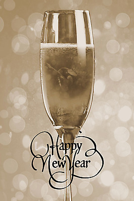 포토 JPG 해외이미지 백인 여자 음료 텍스트 한명 20대 물 와인 수영 거품 축하 알코올 고급 샴페인 가득함 수영선수 해피뉴이어 스파클링와인 해외202004 해외포토 자연요소 서양인 1 컨셉 운동선수 주류 사람 청년 새해인사 수상스포츠 탄산 파일형식