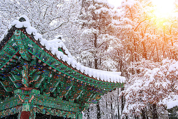 포토 JPG 해외이미지 나무 계절 아시아 조각 백그라운드 겨울 자연 하늘 산 서울 한국 동양인 풍경 사람없음 목재 햇빛 태양 맑음 추위 가을 흰색 위험 시원함 흥분 해외202004 해외포토 자연요소 식물 감정 나라 컬러 컨셉 재료 날씨 인종 생태계 파일형식