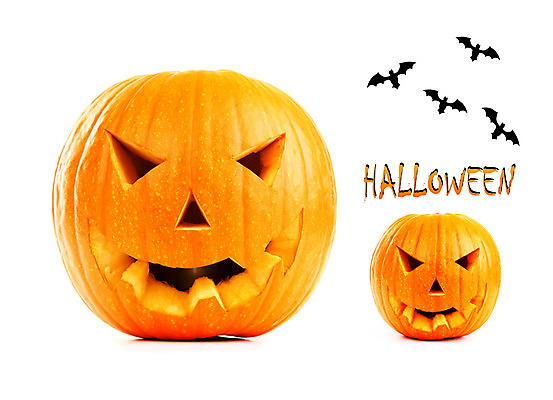 포토 JPG 해외이미지 전통 계절 음식 백그라운드 채소 자연 호박 미소 웃음 사람없음 장식 노란색 파티 할로윈 가을 흰색 등불 축하 표현 유령 무서움 오브젝트 박쥐 10월 잭오랜턴 호러 오싹 해외202004 해외포토 감정 컬러 컨셉 포유류 조명 표정 이벤트 날짜 생태계 공포 파일형식