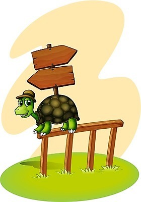 EPS 해외이미지 주간 식물 템플릿 모자 디자인 포스터 백그라운드 잎 일러스트 파충류 화살 미소 야외 목재 그래픽 초록색 물 울타리 우주 공백 껍질 흰색 가리킴 잡초 모서리 가장자리 거북이 방향 왼쪽 사인 그림 각도 포인트 느림 고립 등딱지 카피스페이스 정확 해외202004 해외일러스트 자연요소 나무 동물 잡화 컬러 컨셉 재료 표정 손짓 금융 담장 둘레 파일형식 벡터