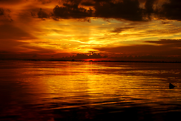 포토 JPG 해외이미지 바다 백그라운드 자연 하늘 풍경 사람없음 빨간색 빛 햇빛 태양 반사 노란색 일출 황혼 일몰 수평선 해외202004 해외포토 자연요소 컬러 노을 생태계 파일형식