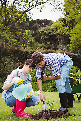포토 JPG 해외이미지 나무 식물 백인 여자 남자 함께함 서기 20대 성인 취미 야외 두명 농장 정원 물뿌리개 물주기 원예 정원가꾸기 묘목 심기 성인만 해외202004 해외포토 서양인 컨셉 농업 모션 사람 청년 파일형식