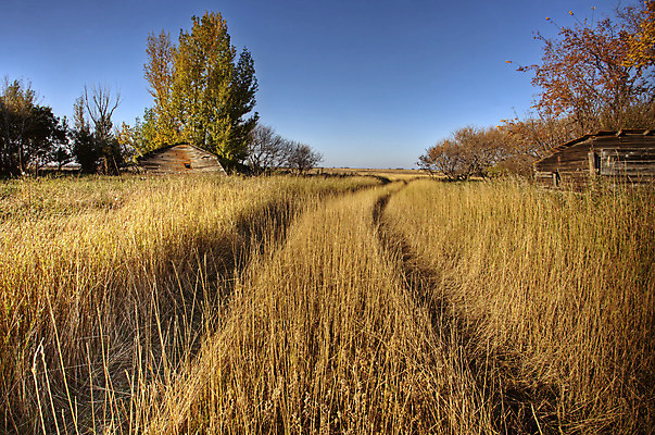 포토 JPG 해외이미지 산업 밭 농업 건축양식 씨앗 사람없음 야외 건물 농작물 농장 상점 금속 수확 추수 쓰레기통 가을 은색 밀 창고 객실 밭일 사일로 옛날 철강 해외202004 해외포토 식물 건축물 계절 건축 컬러 재질 곡류 파일형식