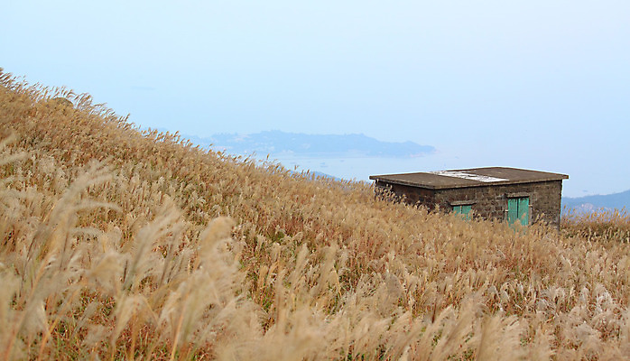포토 JPG 해외이미지 도로 여행 건축양식 자연 지붕 산 주택 따뜻함 노르웨이 풍경 사람없음 목재 초록색 물 여름 농가 농장 마을 정원 계곡 시골 볏짚 숲 오두막 시골집 장면 홍콩 산악지대 고립 방법 스칸디나비아 옛날 해외202004 해외포토 자연요소 나무 계절 건축 유럽 길 컬러 농업 재료 교통시설 건물 중국 짚 생태계 파일형식