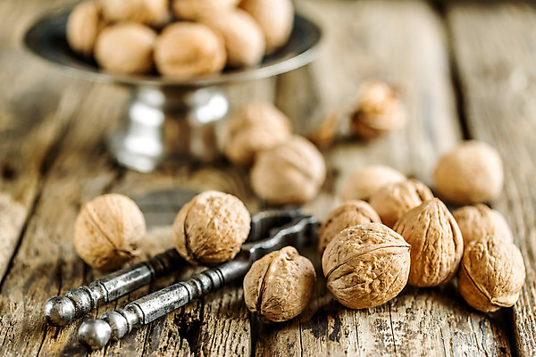 포토 JPG 해외이미지 음식 백그라운드 과일 재료 자연 탁자 건조 건강 씨앗 사람없음 목재 갈색 견과류 수확 껍질 시골 오픈 그룹 먹기 오브젝트 유기농 알맹이 호두 내추럴 옛날 해외202004 해외포토 나무 식물 웰빙 컬러 가구 농업 모션 생태계 파일형식