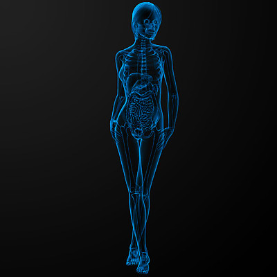 포토 JPG 해외이미지 여자 과학 신체 일러스트 해부 뼈 골격 엑스레이 건강 사람 사람없음 그래픽 파란색 3D 생물학 해외202004 해외포토 교육 컬러 의학 디지털합성 파일형식