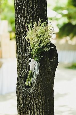 포토 JPG 해외이미지 식물 디자인 꽃잎 꽃 행복 분홍색 꽃다발 결혼 백그라운드 잎 꽃무늬 자연 결혼식 선물 사랑 사람없음 장식 빨간색 초록색 컬러풀 장미 노란색 보라색 낭만 벚꽃 흰색 축하 신선 우아함 다발 배열 심볼 묘사 약혼 고립 해외202004 해외포토 감정 컬러 컨셉 무늬 이벤트 생태계 약속 파일형식