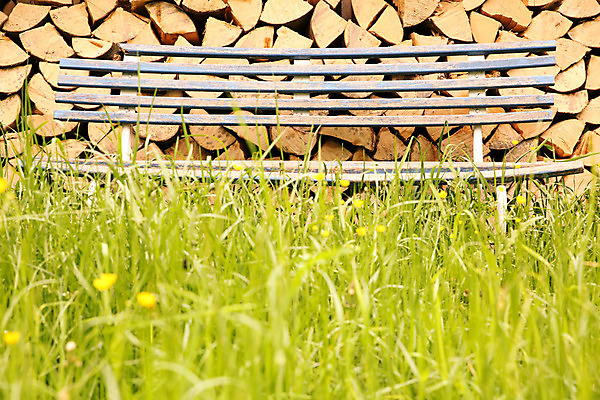 포토 JPG 해외이미지 식물 공원 백그라운드 벤치 의자 자연 휴식 앉기 잔디 사람없음 야외 목재 쌓기 환경 정원 침묵 봄 성장 신선 뜨거움 고독 숲 장작 오브젝트 만족 잡동사니 내추럴 뒤뜰 수목 옛날 해외202004 해외포토 나무 계절 공공시설 감정 가구 컨셉 재료 모션 소리 생태계 파일형식