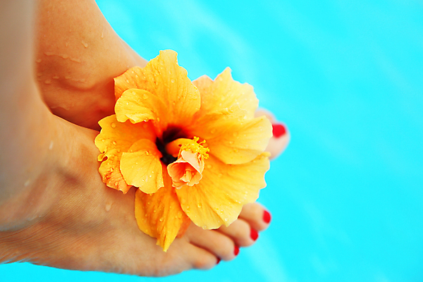 포토 JPG 해외이미지 라이프스타일 여자 꽃 행복 여행 백그라운드 컨셉 신체 부분 발 자연 휴가 휴식 건강 한명 사람 야외 물 여름 파란색 스파 젖음 신선 시원함 휴양지 발가락 양발 페디큐어 의료성형뷰티 해외202004 해외포토 자연요소 식물 1 계절 감정 컬러 생활 신체부위 뷰티 장소 생태계 파일형식