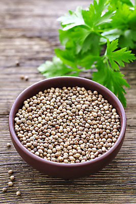 포토 JPG 해외이미지 식물 음식 백그라운드 잎 농업 재료 탁자 건조 파슬리 건강 요리 씨앗 사람없음 목재 초록색 약 갈색 주방 중국 신선 양념 조미료 맛 인도인 다발 허브 보따리 유기농 매움 날것 향료 향 내추럴 많음 해외202004 해외포토 외국인 나무 웰빙 산업 아시아 컬러 가구 컨셉 채소 의학 동양인 향기 냄새 향미료 파일형식