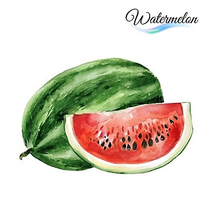 EPS 해외이미지 디자인 열매 음식 조각 백그라운드 과일 일러스트 수채화 수박 미술 씨앗 사람없음 빨간색 초록색 달콤 그림 유기농 비타민 내추럴 맛있는 해외202004 해외일러스트 식물 웰빙 컬러 문화예술 맛 영양소 파일형식 벡터