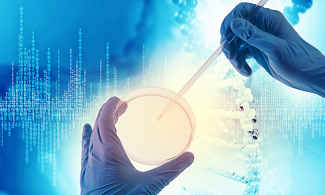 포토 JPG 해외이미지 모양 모델 디자인 과학 백그라운드 패턴 추상 프레임 세포 항해 실험 미술 사람 사람없음 그래픽 컴퓨터 약 잡기 진화 DNA 생명공학 심볼 시험관 유기농 생물학 원자 염색체 튜브 공식 바이오 신맛 해외202004 해외포토 웰빙 교육 무늬 배_교통 의학 모션 문화예술 실험기구 전자제품 맛 소방 파일형식