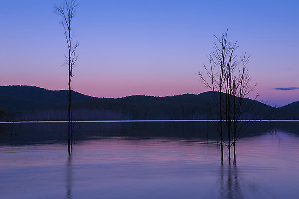 포토 JPG 해외이미지 나무 공원 호수 자연 풍경 사람없음 물 강 환경 일몰 호주 댐 내추럴 해외202004 해외포토 자연요소 식물 공공시설 노을 오세아니아 생태계 파일형식