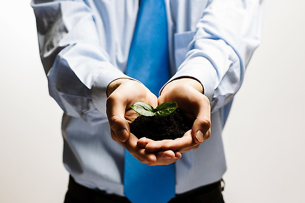 포토 JPG 해외이미지 나무 식물 손 지구 잎 돈 비즈니스 자연 성공 새로움 손바닥 사람 사람없음 초록색 금융 새싹 환경 흙 성장 재산 닫기 보호 생태계 투자 팔 회계 개발 모종 생태학 투자자 해외202004 해외포토 교육 컬러 컨셉 모션 신체부위 경제 파일형식