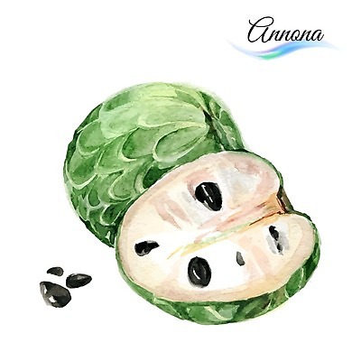 EPS 해외이미지 디자인 음식 조각 백그라운드 과일 일러스트 텍스트 수채화 미술 씨앗 사람없음 초록색 달콤 그림 내추럴 구아바 이국적 해외202004 해외일러스트 식물 컬러 문화예술 맛 열대과일 파일형식 벡터