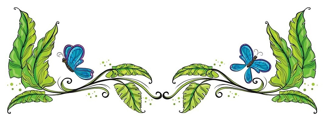 EPS 해외이미지 템플릿 디자인 줄기 조각 나비 곤충 백그라운드 잎 날개 일러스트 프레임 안테나 그래픽 장식 초록색 파란색 컬러풀 흰색 흉부 그림 고립 엘리먼트 특별함 국경 해외202004 해외일러스트 식물 동물 컬러 컨셉 통신 호흡기관 파일형식 벡터