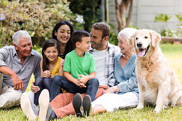 포토 JPG 해외이미지 전신 나무 여자 할아버지 노년 남자 할머니 어린이 엄마 함께함 앉기 소년 잔디 여러명 성인 앞모습 소풍 화목 아빠 개 해외202004 해외포토 식물 뷰포인트 다수 컨셉 포유류 가족 모션 사람 야외활동 파일형식