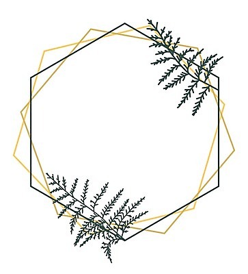 EPS 해외이미지 나무 식물 템플릿 손 디자인 포스터 줄기 결혼 백그라운드 잎 꽃무늬 패턴 일러스트 자연 결혼식 프레임 손바닥 그래픽 장식 정원 낭만 수확 나뭇가지 축하 인사 생일 숲 허브 그림 초대 내추럴 양치류 이국적 파라다이스 그리너리 국경 해외202004 해외일러스트 기념일 꽃 컨셉 무늬 농업 이벤트 신체부위 예절 생태계 파일형식 벡터 트랜드컬러