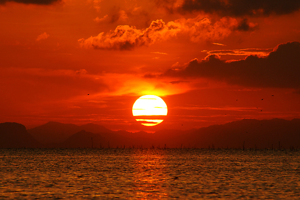 포토 JPG 해외이미지 바다 백그라운드 자연 하늘 풍경 사람없음 빨간색 빛 햇빛 태양 반사 노란색 일출 황혼 일몰 수평선 해외202004 해외포토 자연요소 컬러 노을 생태계 파일형식