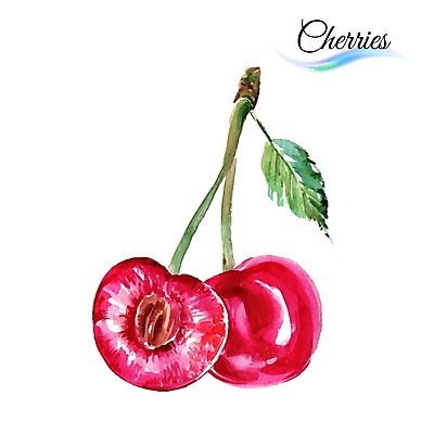 EPS 해외이미지 디자인 음식 줄기 백그라운드 잎 과일 일러스트 수채화 미술 사람없음 빨간색 초록색 빛 체리 달콤 그림 유기농 비타민 맛있는 해외202004 해외일러스트 식물 웰빙 컬러 문화예술 맛 영양소 파일형식 벡터