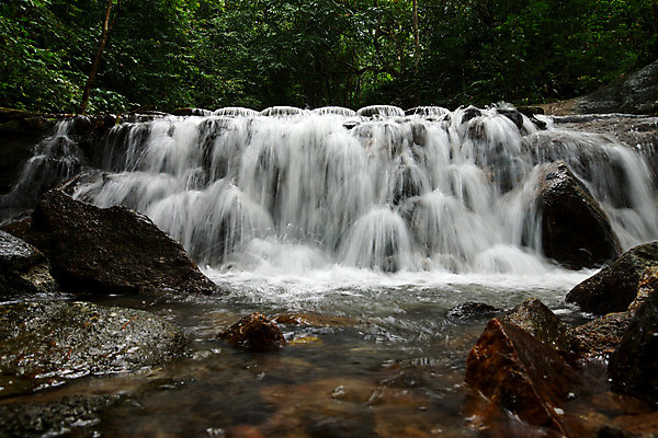 포토 JPG 해외이미지 나무 식물 공원 여행 백그라운드 잎 모션 태국 자연 휴가 휴식 풍경 사람없음 목재 초록색 물 강 환경 봄 활발 폭포 젖음 흐름 가을 바위 신선 개울 숲 시원함 순수 즐거움 천국 이국적 파라다이스 해외202004 해외포토 자연요소 계절 공공시설 감정 아시아 컬러 컨셉 재료 돌_바위 생태계 파일형식