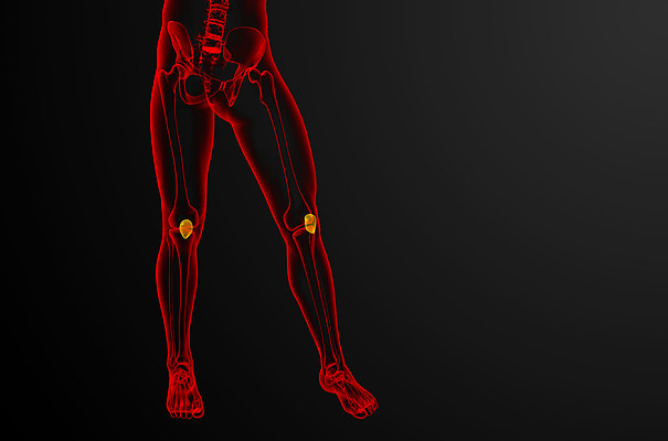 포토 JPG 해외이미지 해부 뼈 엑스레이 사람없음 고통 무릎 외과 양발 연골 증상 해외202004 해외포토 감정 의학 병원 신체부위 파일형식
