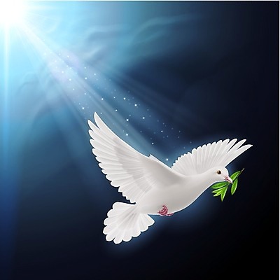 EPS 해외이미지 동물 종교 컨셉 잎 날개 과일 일러스트 자연 조류 하늘 아이디어 사랑 여름 파란색 반려동물 평화 희망 침묵 자유 성장 흰색 나뭇가지 우아함 심볼 순수 깃털 사인 그림 올리브 비둘기 심플 고립 해외202004 해외일러스트 나무 식물 계절 열매 감정 컬러 소리 생태계 파일형식 벡터