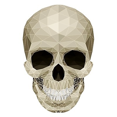 EPS 해외이미지 백그라운드 컨셉 패턴 일러스트 부분 추상 생물 아이디어 골격 어둠 할로윈 슬픔 흰색 운명 죽음 유령 위험 신비 무서움 악마 크리스탈 위협 심볼 묘사 윤곽 모자이크 턱 나쁜 고딕 고립 몬스터 지옥 폴리곤 해골모형 호러 해외202004 해외일러스트 감정 컬러 무늬 모형 광석 공포 파일형식 벡터