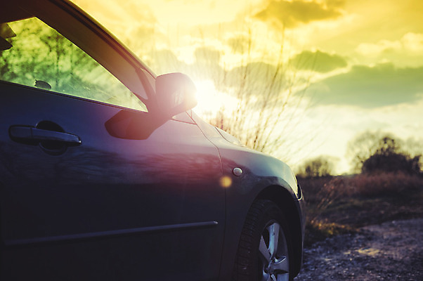 포토 JPG 해외이미지 나무 커플 스포츠 여행 결혼 백그라운드 교통시설 자동차 자연 미술 사람없음 초록색 유행 봄 수확 골동품 클래식 숲 출장 복고 옛날 자동 국경 해외202004 해외포토 식물 계절 육상교통 컬러 교통 컨셉 농업 비즈니스 관계 문화예술 이벤트 시설 생태계 파일형식