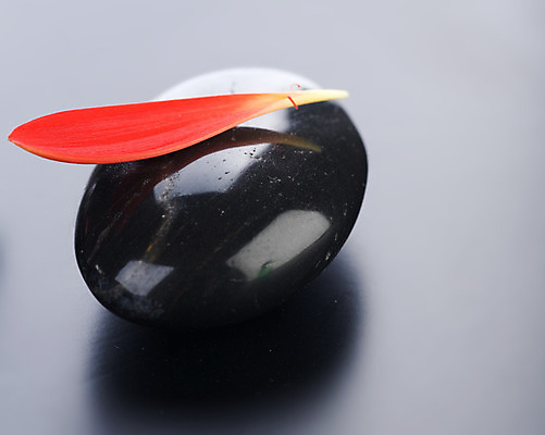 포토 JPG 해외이미지 꽃잎 꽃 백그라운드 컨셉 사람없음 빨간색 쌓기 검은색 스파 조약돌 마사지 매끈함 테라피 해외202004 해외포토 식물 컬러 모션 뷰티 돌_바위 감각 파일형식