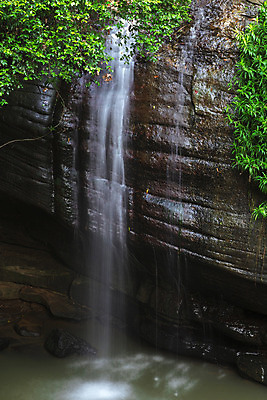 포토 JPG 해외이미지 여행 잎 자연 풍경 사람없음 야외 초록색 물 햇빛 환경 침묵 폭포 젖음 신선 개울 호주 떨어짐 숲 열대우림 국경 해외202004 해외포토 자연요소 식물 컬러 컨셉 강 태양 소리 오세아니아 생태계 파일형식