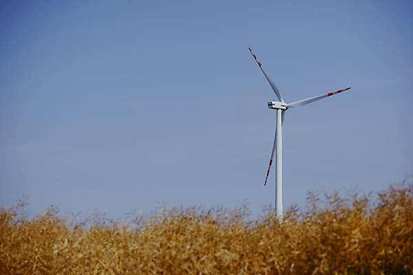 포토 JPG 해외이미지 산업 백그라운드 자연 하늘 바람 풍경 사람없음 초록색 물 여름 파란색 태양 농장 3D 탑 힘 봄 재활용 풍차 발전기 에너지 회전 세대 개발 해외202004 해외포토 자연요소 건축물 계절 컬러 농업 날씨 발전소 디지털합성 친환경 생태계 파일형식
