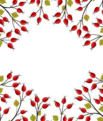 EPS 해외이미지 식물 열매 꽃 백그라운드 잎 과일 일러스트 재료 프레임 건강 사람없음 약 장미 활발 개 약초 엉덩이 허브 오브젝트 꽃프레임 숙성 프레임일러스트 해외202004 해외일러스트 컨셉 포유류 의학 신체부위 풀_식물 파일형식 벡터