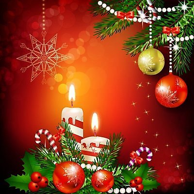 EPS 해외이미지 나무 템플릿 디자인 배너 행복 백그라운드 크리스마스 겨울 패턴 일러스트 벽지 휴가 프레임 미술 책 컬러풀 공백 기쁨 축하 인사 소나무 신용카드 눈송이 앨범 엽서 페이지 한조각 스크랩북 가문비나무 국경 해외202004 해외일러스트 식물 1 계절 기념일 감정 컬러 컨셉 무늬 문화예술 금융 눈 예절 편지 파일형식 벡터