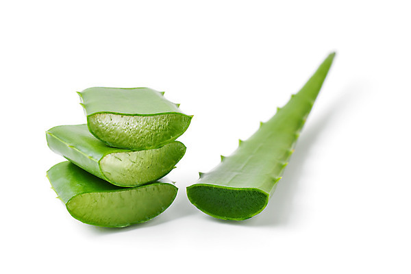 포토 JPG 해외이미지 식물 잎 자연 사람없음 초록색 쌓기 약재 신선 약초 흰배경 슬라이스 고립 바디케어 알로에 해외202004 해외포토 컬러 백그라운드 모션 약 흰색 풀_식물 생태계 파일형식