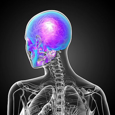 포토 JPG 해외이미지 해부 뼈 골격 건강 사람 사람없음 머리 죽음 턱 해골모형 해외202004 해외포토 의학 신체부위 모형 파일형식