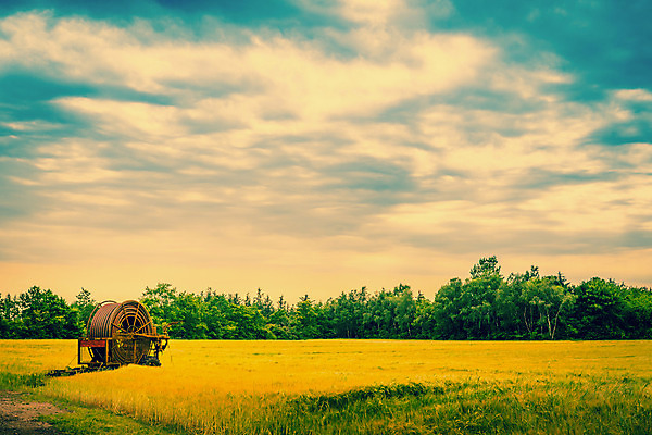 포토 JPG 해외이미지 식물 음식 밭 농업 자연 하늘 날씨 건조 풍경 사람없음 초록색 물 여름 농작물 농장 농경지 금속 기계 흙 젖음 수확 안개 성장 공구 시골 바퀴 땅 뿌리기 복고 파이프 분무기 시스템 가뭄 자원 펌프 밭일 스프링쿨러 압력 옛날 자동 해외202004 해외포토 자연요소 계절 산업 컬러 모션 재질 도구 생태계 파일형식