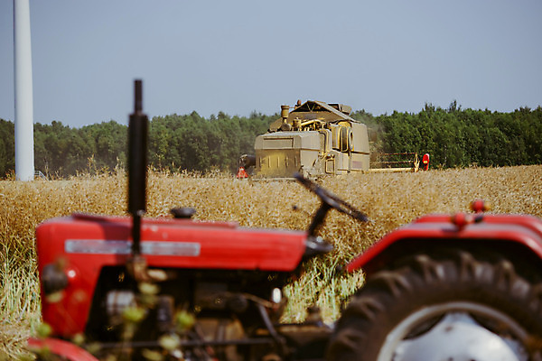 포토 JPG 해외이미지 실루엣 산업 밭 농업 비즈니스 자연 씨앗 사람 사람없음 야외 농작물 농장 수확 추수 가을 농부 밀 트랙터 짐차 밭일 해외202004 해외포토 식물 직업 계절 자동차 곡류 촬영기법 농기계 생태계 특수차량 파일형식