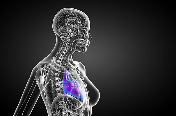포토 JPG 해외이미지 해부 건강 사람 사람없음 3D 고통 환자 하트 맥박 시스템 외과 심장병 해외202004 해외포토 모양 감정 의학 병원 질병 디지털합성 파일형식