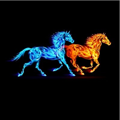 EPS 해외이미지 동물 디자인 백그라운드 2 오렌지 일러스트 모션 불 추상 불꽃 새해 요정 미술 그래픽 파란색 빛 달리기 노란색 검은색 희망 에너지 자유 뜨거움 더위 속도 매움 가스 공상 추적 무료 해외202004 해외일러스트 레이스천 자연요소 감정 컬러 컨셉 무늬 과일 날씨 문화예술 직물 맛 파일형식 벡터