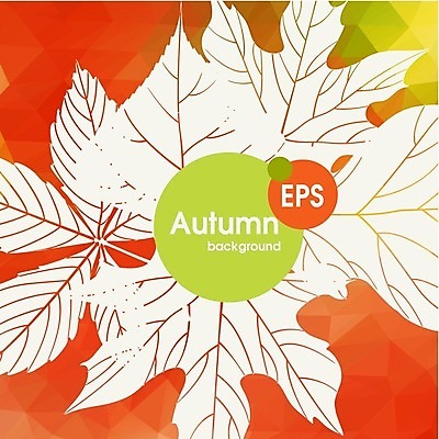 EPS 해외이미지 식물 백그라운드 단풍 잎 일러스트 자연 수채화 사람없음 빨간색 초록색 노란색 가을 밤 해외202004 해외일러스트 계절 컬러 견과류 생태계 파일형식 벡터