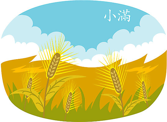 EPS 주간 클립아트 식물 계절 일러스트 곡류 초원 사람없음 야외 가을 절기 보리 소만 국내일러스트 자연요소 파일형식 벡터